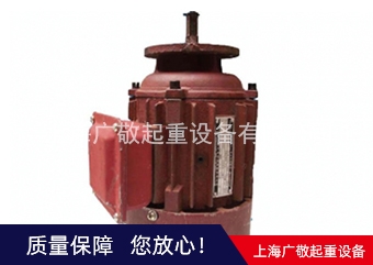 張家港總廠電機  6級電機 8級電機廠家批發